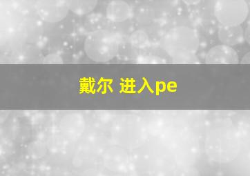 戴尔 进入pe